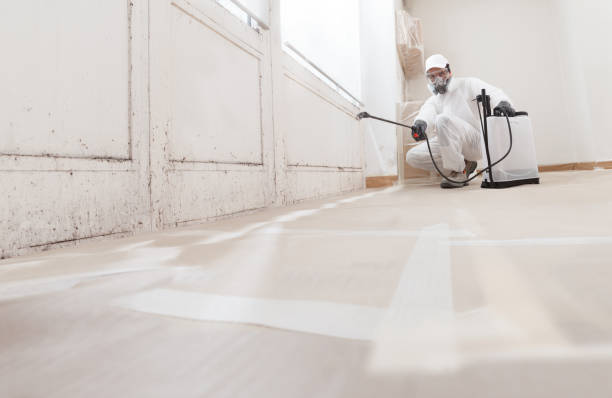 24/7 Emergency Commercial Mold Remediation experts in Greenville, VA
