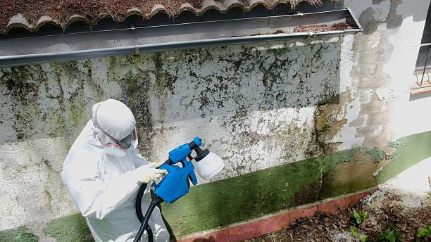 Top rated local Commercial Mold Remediation specialists in Greenville, VA